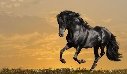 الفيروسات 12 الأكثر فتكاً في الأرض