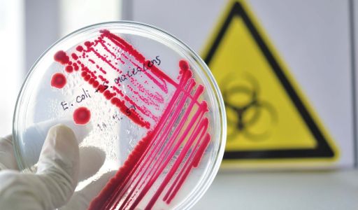 مخاطر ساحات التجميع المؤقت للنفايات الطبية بالمستشفيات