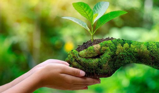إدارة النفايات الطبية البيطرية الطارئة خلال حالات الأوبئة