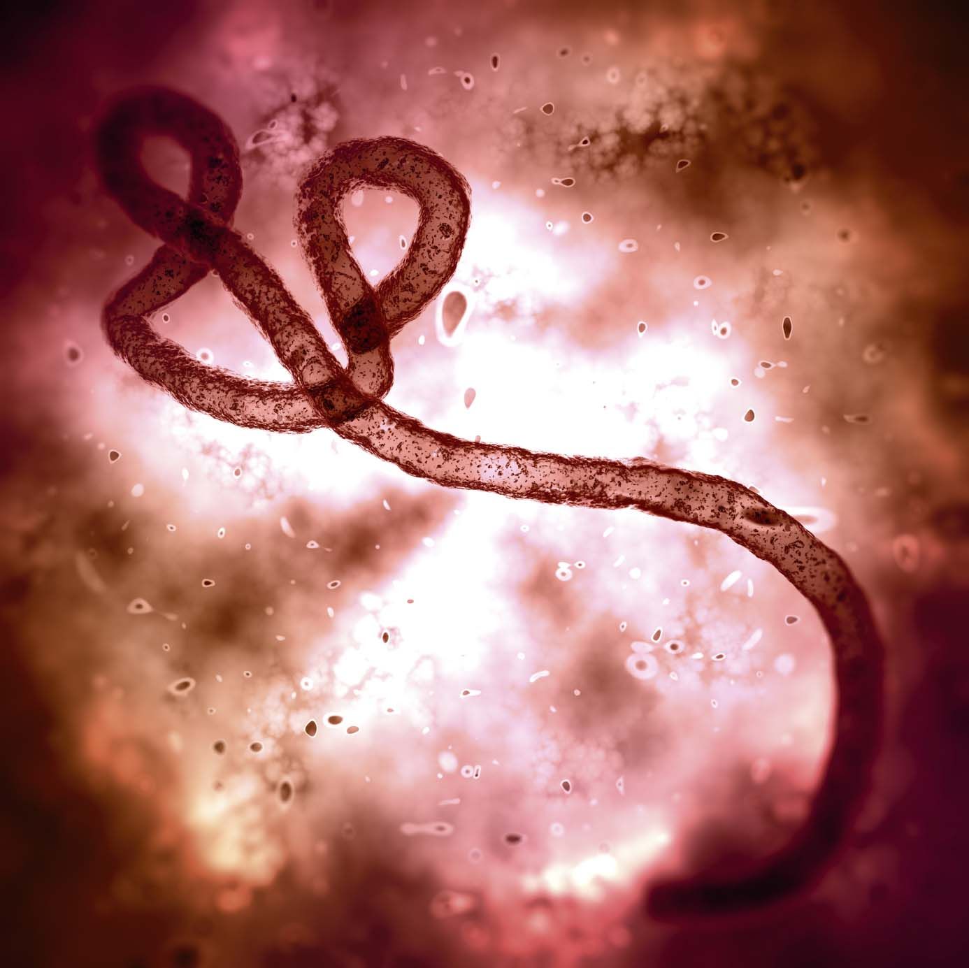 مريض فيروس الإيبولا والتخلص من المخلفات الطبية في الولايات المتحدة