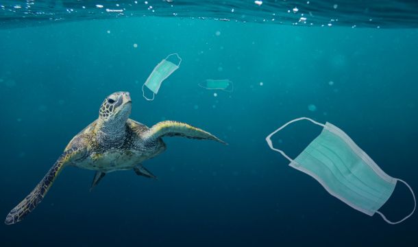 تزايد التلوث البلاستيكي في أعقاب انتشار فيروس كورونا المستجد (كوفيد -19): دعوة لصانعي السياسات التجارة العالمية للمساعدة في التقليل