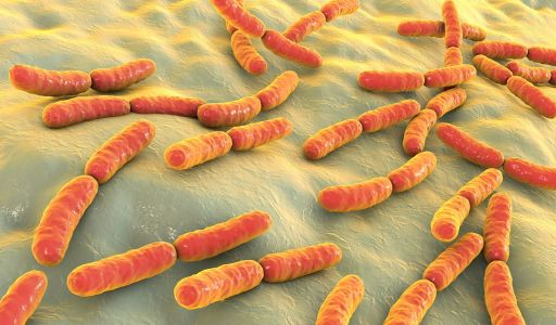 التطعيم ضد الإنفلونزا الموسمية (Influenza) في منع العدوى في العاملين مع النفايات الرعاية الصحية