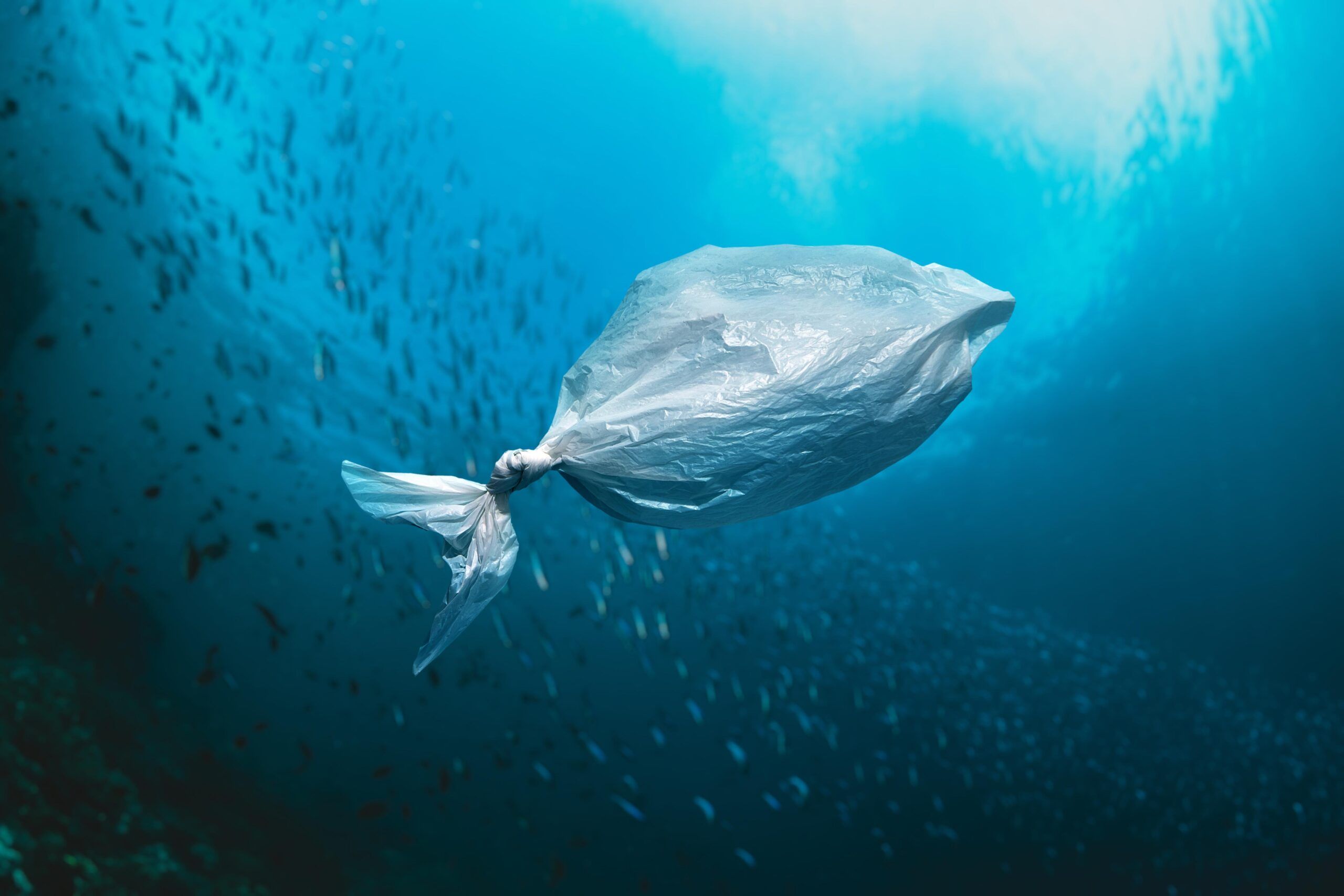 التأثيرات البيئية للنفايات البلاستيكية