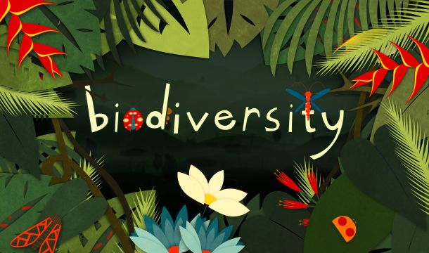 النفايات الصيدلانية والتأثير على التنوع البيولوجي