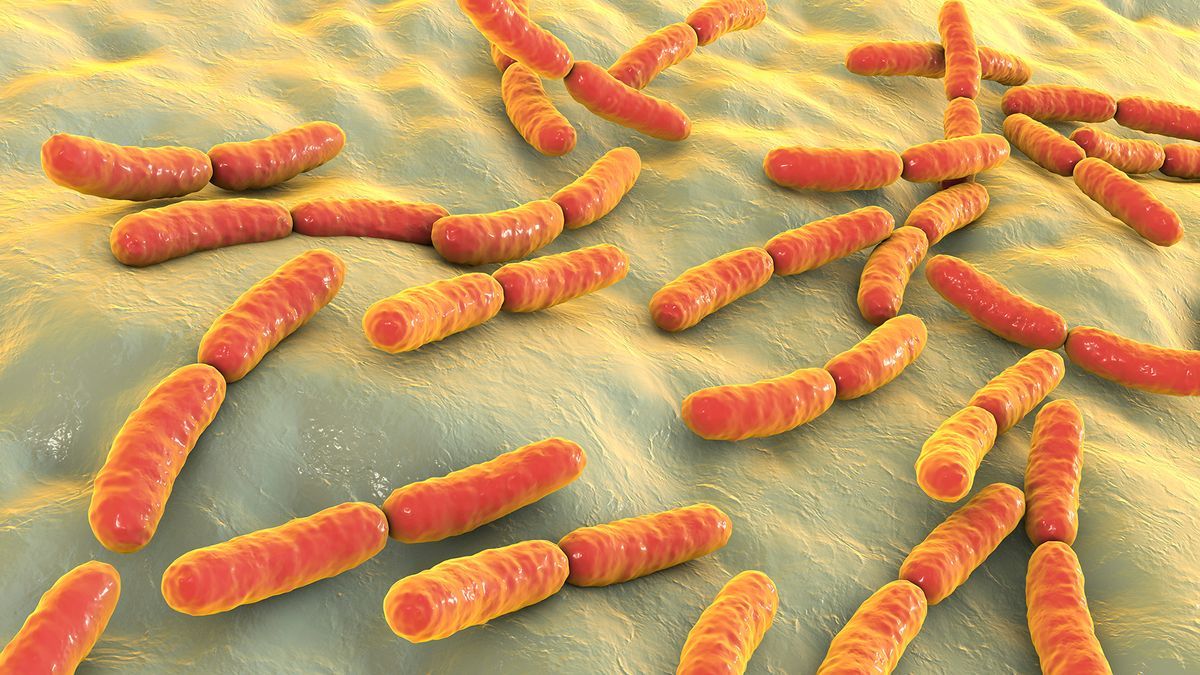 التطعيم ضد الإنفلونزا الموسمية (Influenza) في منع العدوى في العاملين مع النفايات الرعاية الصحية 10 النفايات الطبية ومراكز علاج مرض السل (الدرن)