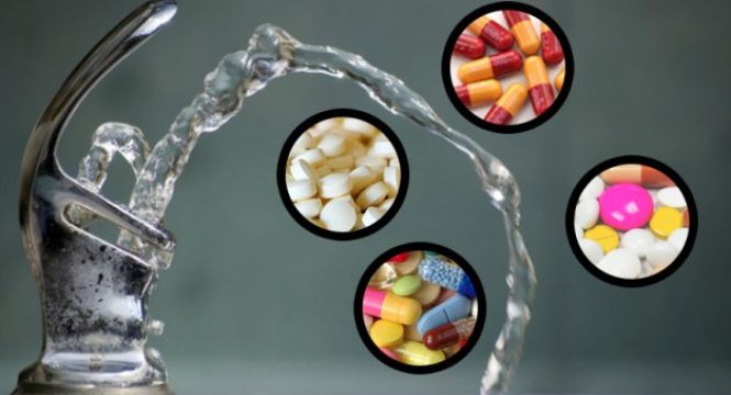 بوستر علمي في المؤتمر الثاني للعلوم البيئية، زليتن – ليبيا، 15-17 ديسمبر 2015