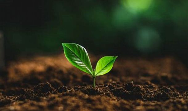 نظام “من المنتج إلى المستهلك”