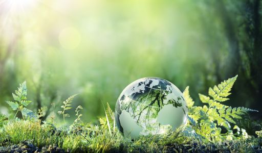 الشراء الأخضر في إدارة نفايات الرعاية الصحية