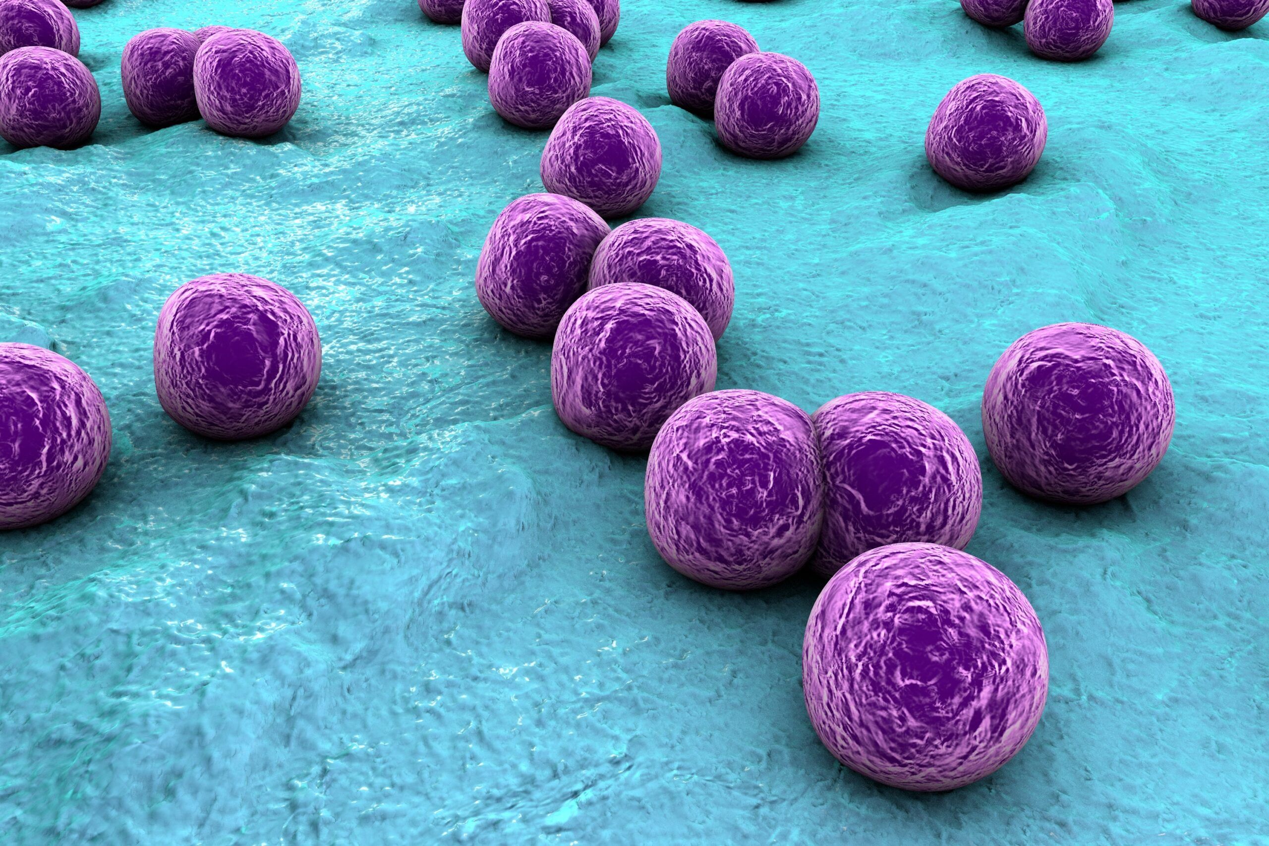 مخاطر وجود بكتيريا التهابات الجلد (Staphylococcus aureus) في نفايات الرعاية الصحية