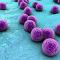 مخاطر وجود بكتيريا التهابات الجلد (Staphylococcus aureus) في نفايات الرعاية الصحية