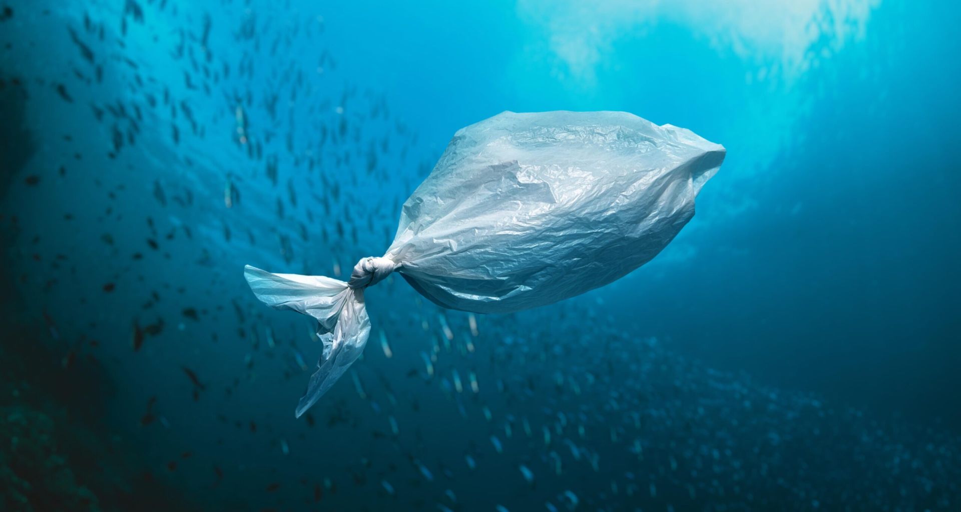 التأثيرات البيئية للنفايات البلاستيكية