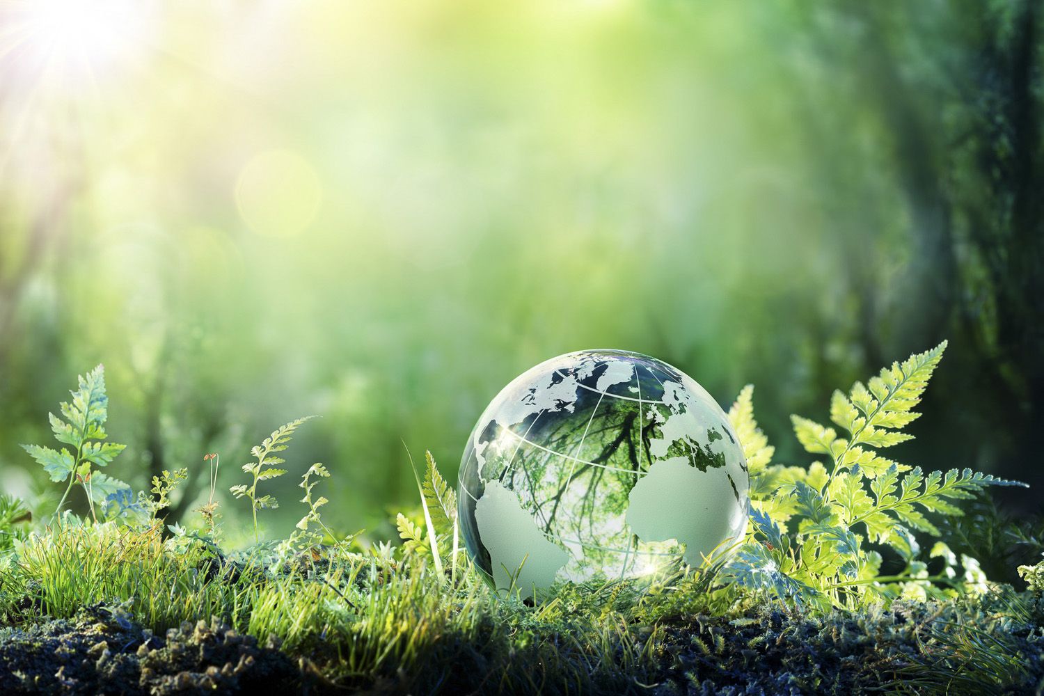 مبادرة المستشفيات الخضراء والصحية (Global Green and Healthy Hospitals – GGHH):