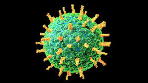 الفيروسات 12 الأكثر فتكاً في الأرض