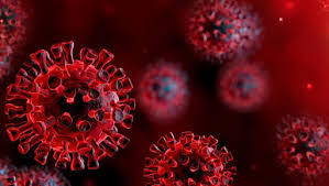 الفيروسات 12 الأكثر فتكاً في الأرض