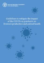 إرشادات منظمة الأمم المتحدة للأغذية والزراعة (الفاو) بخصوص التخفيف من تأثير جائحة فيروس الكورونا كوفيد-19 على الإنتاج الحيواني وصحة الحيوان