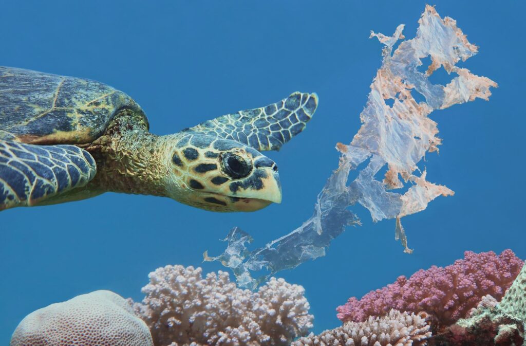 آثار تلوث البلاستيك على البيئة والإنسان والحيوان