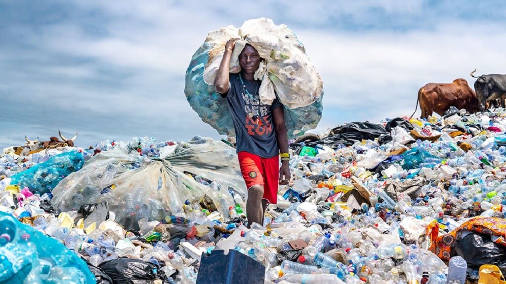 آثار تلوث البلاستيك على البيئة والإنسان والحيوان